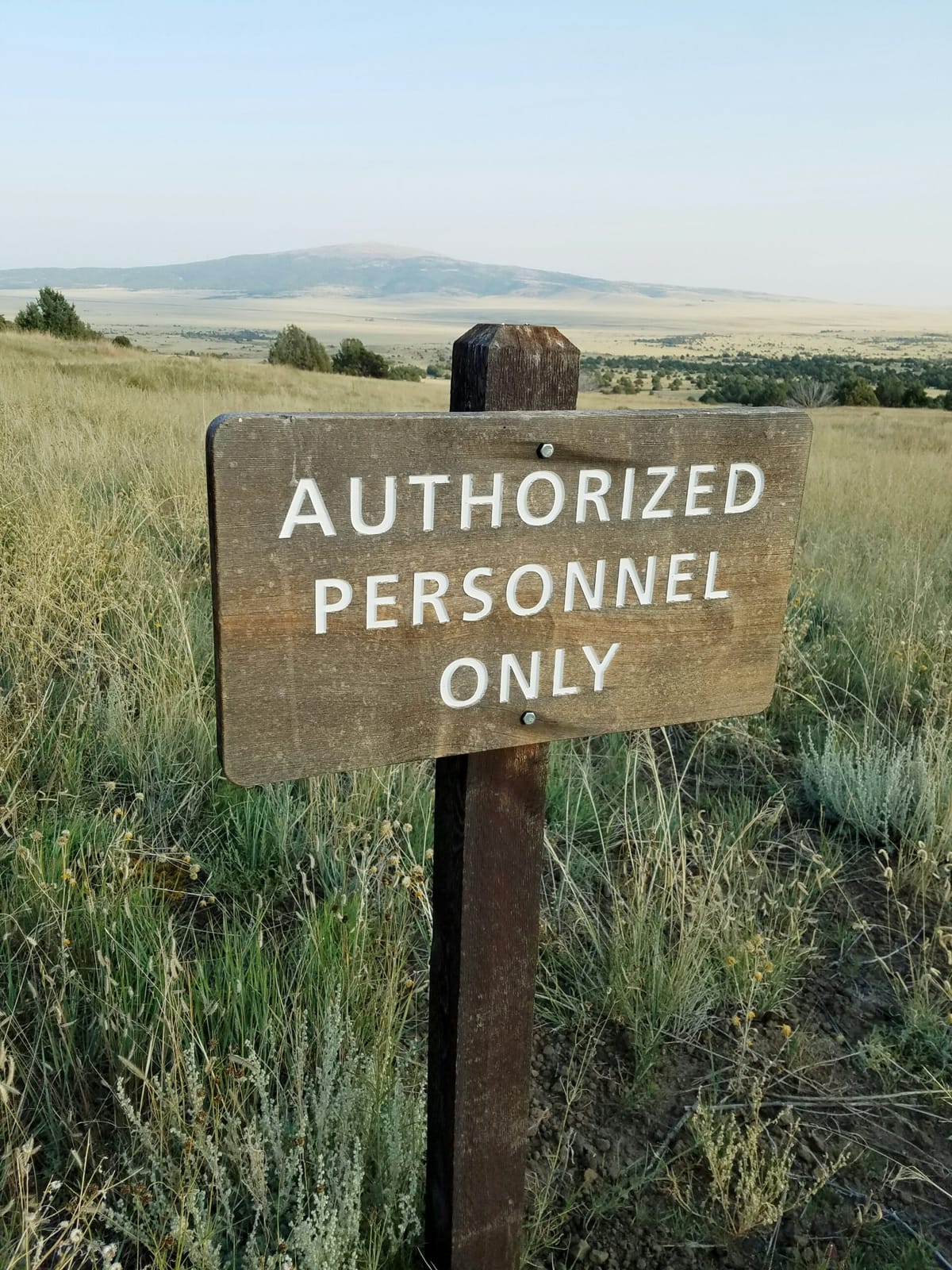 Authorized only